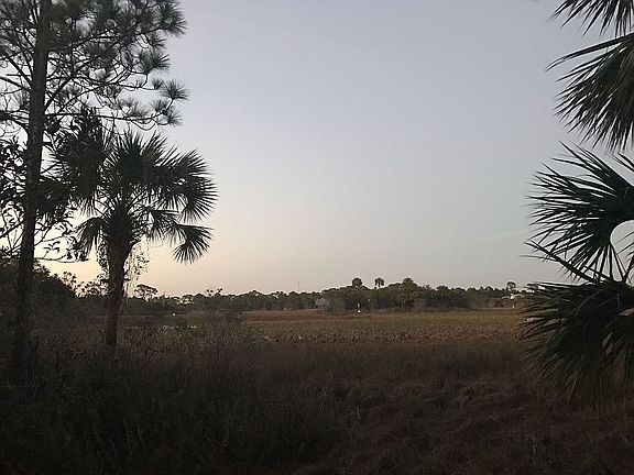 wetland view from property