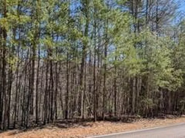 3289 Wood Poppy Vw #3289, Jasper, GA 30143