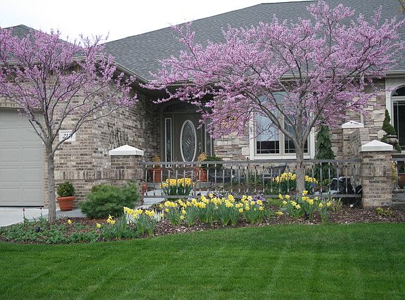 Spring color 
