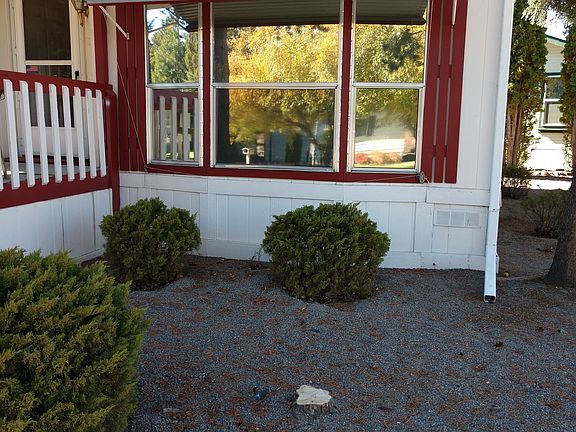 Living room windows