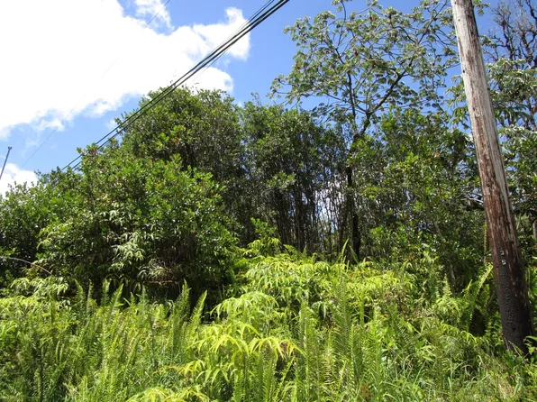 Road 7 Opeapea Lot 4749, Kurtistown, HI 96760