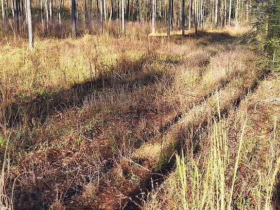 3rd image of 1575 Purvis To Baxterville Rd