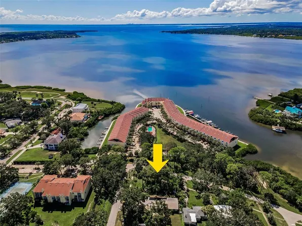 416 Woodward Ave, Oldsmar, FL 34677