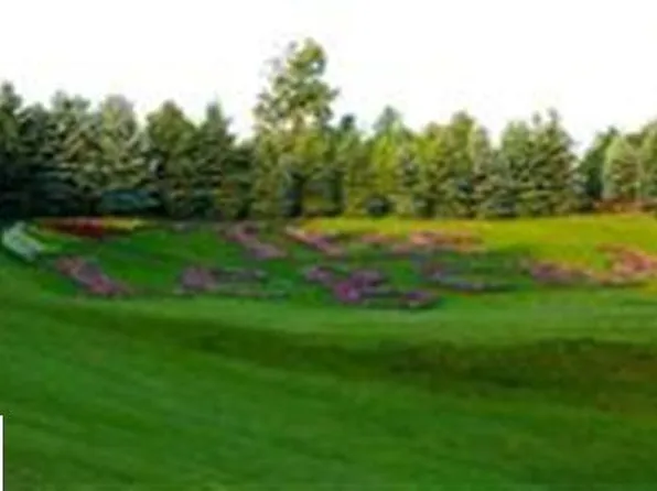 85 Legend Trl, Bellaire, MI 49615