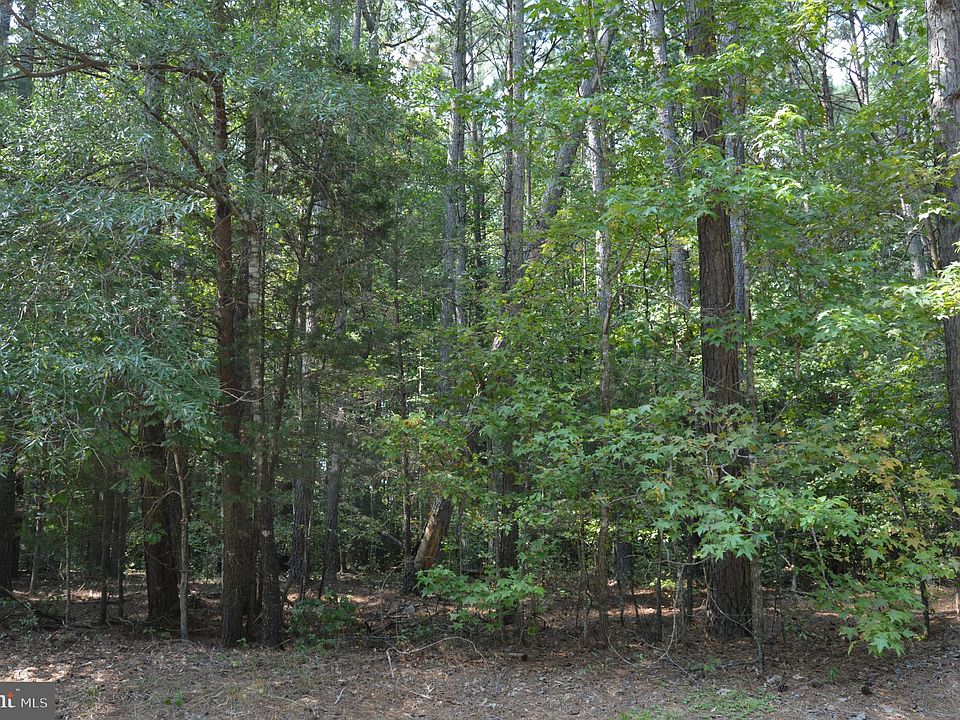1st image of Spruce Dr