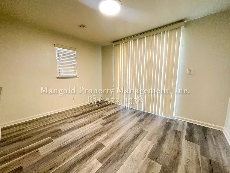 1168oly — Photo 7