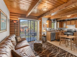 100 Cove Blvd UNIT F, Dillon, CO 80435