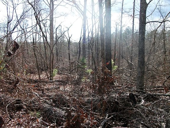 4th image of 1050 Lee Rd 326