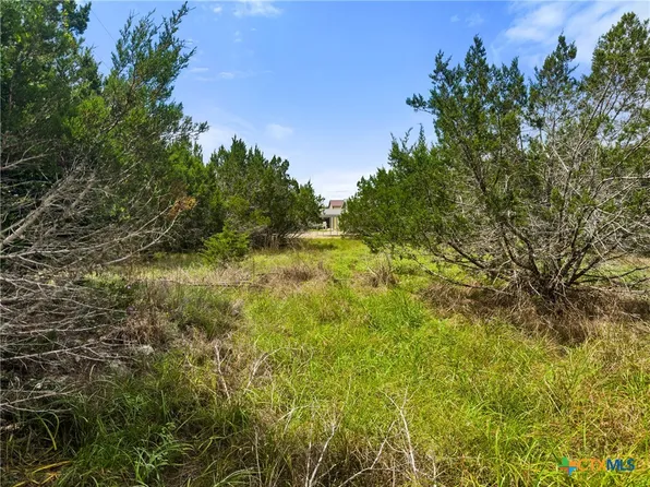 541 Henderson Dr, Spring Branch, TX 78070