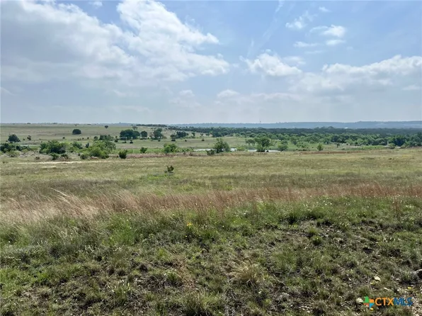 4748 County Road 3300, Kempner, TX 76539