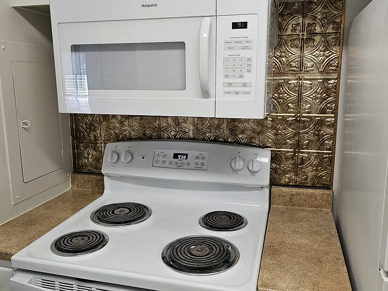 1678 Pinckney Park Dr #4 — Photo 9