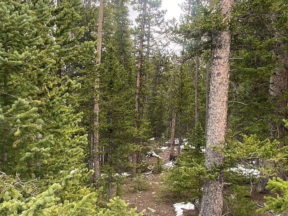5th image of 876 Bobcat Lane