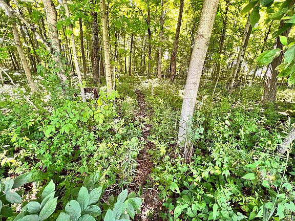 4th image of 1100 County Rd