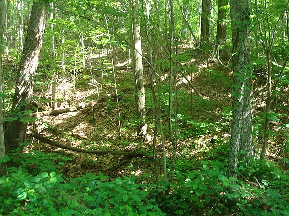 3rd image of 2526 Hatcher Mountain Rd #26