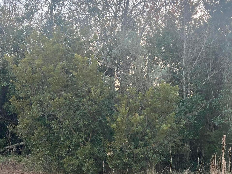 1st image of 200 Grandview Drive