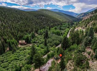 7366 County Road 43, Bailey, CO 80421