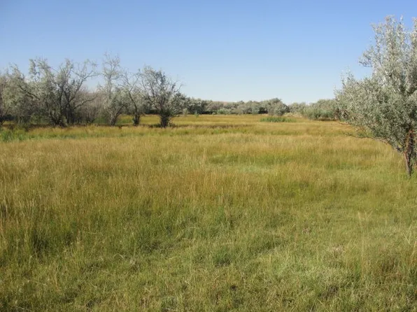 Tbd Thompson Lane, Blackfoot, ID 83221