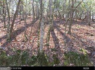 0 Zenith Trl, Ellijay, GA 30540