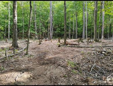 335 Coolidge Drive, Washington, NH, 03280