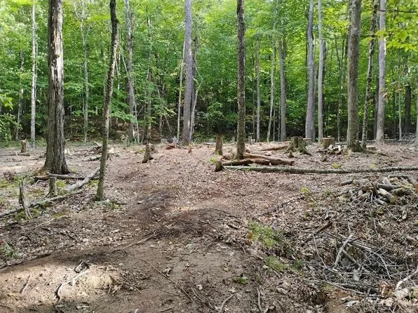 335 Coolidge Drive, Washington, NH 03280