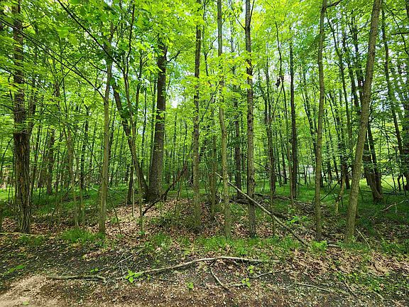 5th image of LOT 1118 White Birch Ln