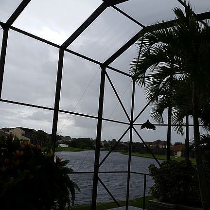 Pool 2-Story Screen Rm, lake