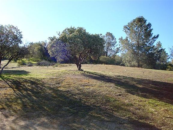 5th image of 36416 Eagles Nest Ln