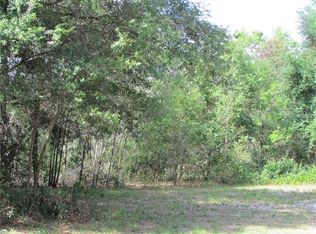 607 E Chapman Rd, Lutz, FL 33549