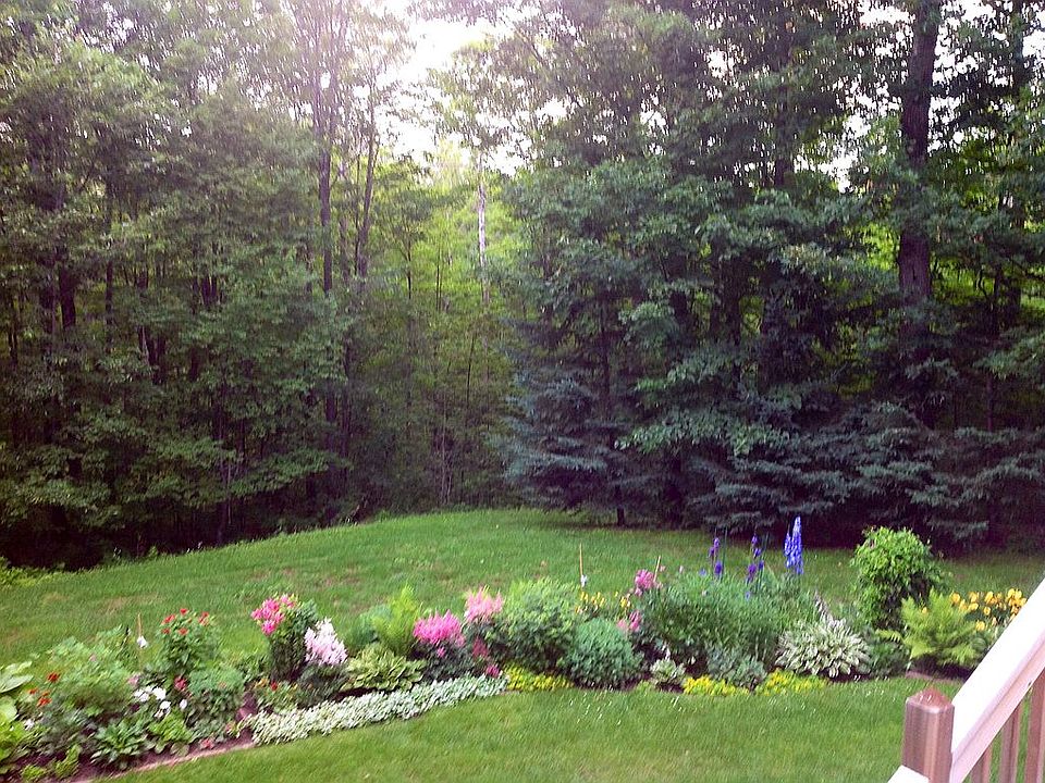 Back yard garden