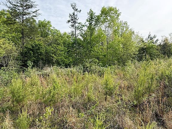 2nd image of 1154 Knopf Dr #1