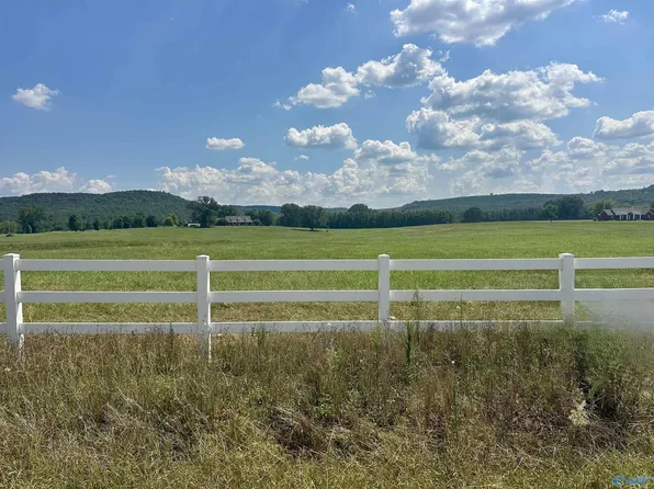 TRACT Old Memphis Pike #B, Tuscumbia, AL 35674