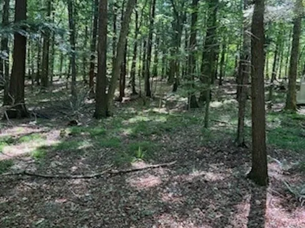 W15261 Old J Rd, Silver Cliff, WI 54104