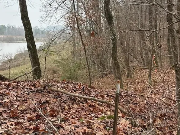 0 Mount Zion Rd, Gleason, TN 38229