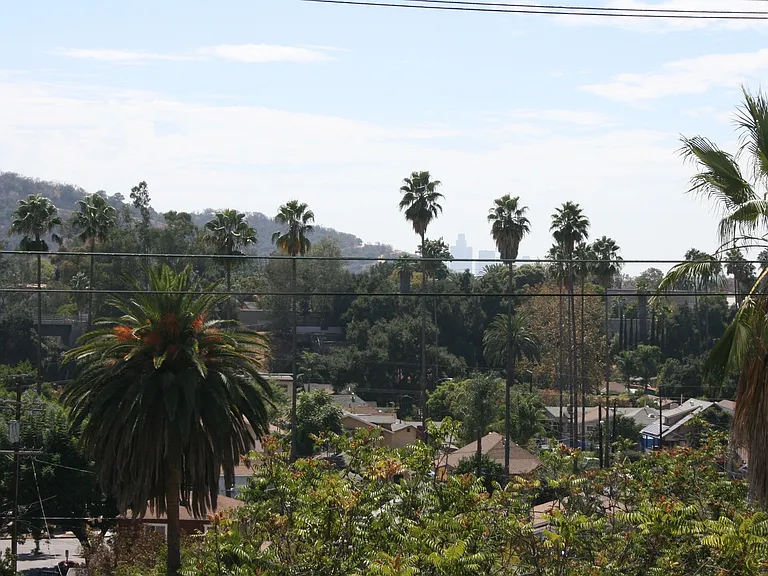 Ave 63 Apartments — Photo 16