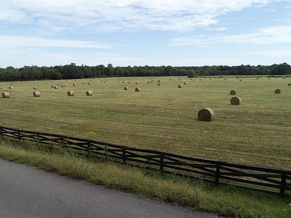 Baled Hay