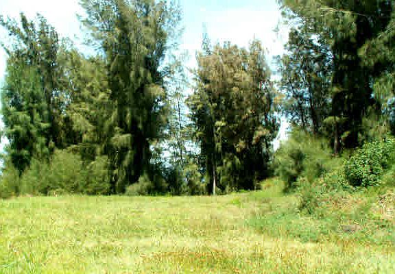 5th image of 56-827 Waiolu Pl Lot 55