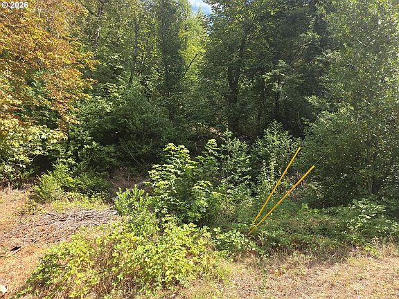 5th image of 1313 Fisher Rd