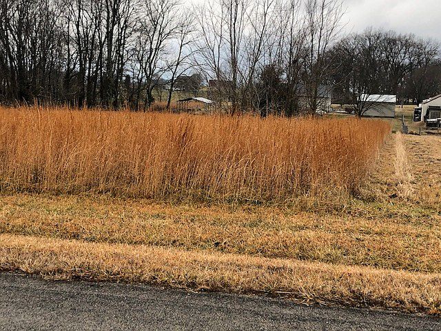 2nd image of LOT 17 Foxbrier Mnr