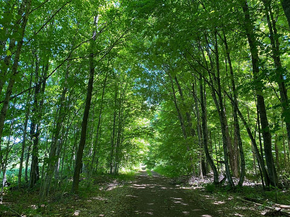 1st image of Niemi Rd