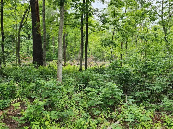 10XX Us Highway 8, Amery, WI 54001