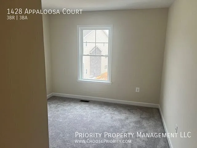 1428 Appaloosa Ct — Photo 13