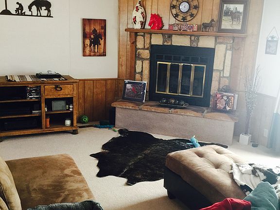 Living room fireplace