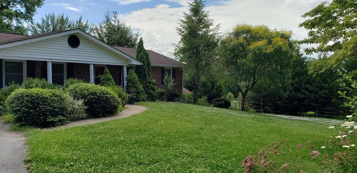 Part of the front lawn - 2193 Butler Bridge Rd