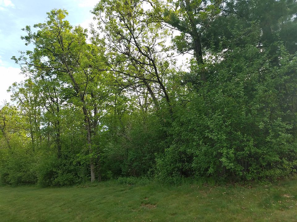 View looking at lot