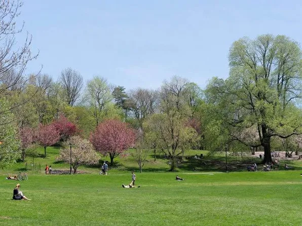 555 Chauncey Street image 21 of 21