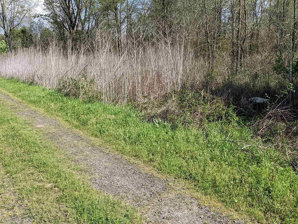 2nd image of 257 Martin Loop