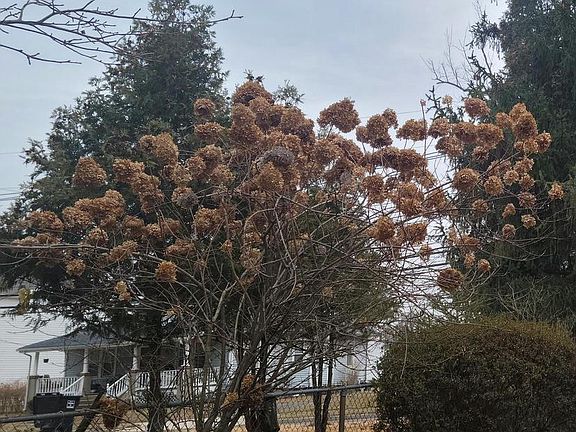 2nd image of 370 Eggerts Crossing Rd