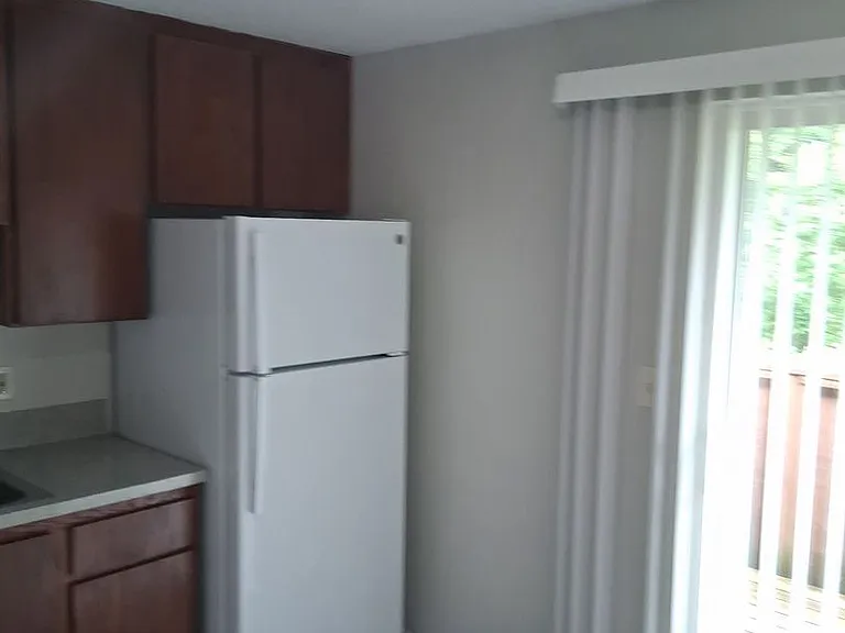Rainier Vista — Photo 12