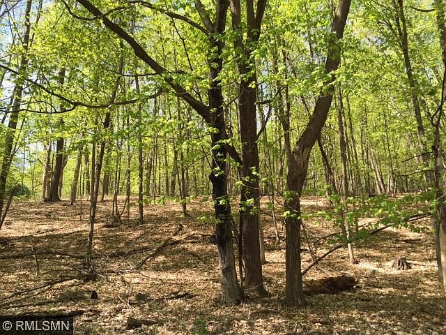 2nd image of 1025 Wildhurst Trl