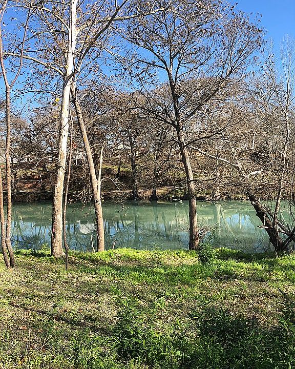 view of Guadalupe river
